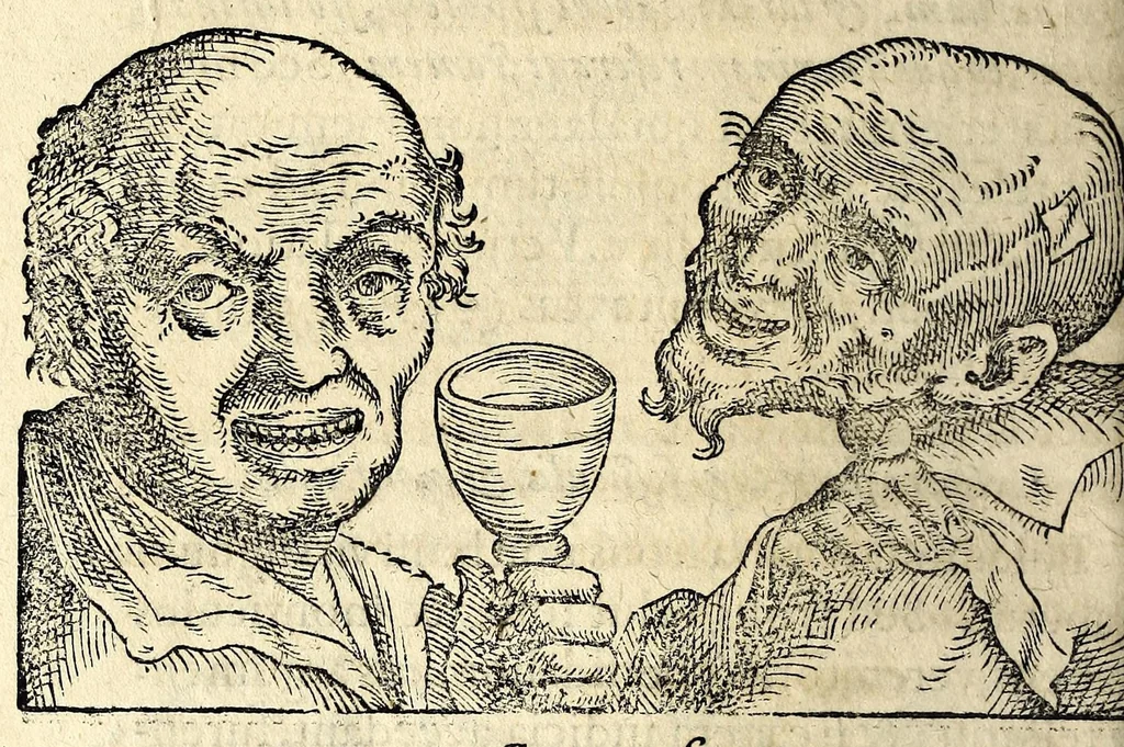An illustration from De hvmana physiognomonia Ioannis Baptistae Portae Neapolitani libri IIII : qvi ab extimis, quae in hominum corporibus conspiciuntur signis, ita eorum naturas, mores & consilia (egregiis ad viuum expressis iconibvs) demonstrant, vt intimos animi recessus penetrare videantur ... : nunc ab innumeris mendis, quibus passim neapolitana scatebat editio, emendati, primumq[ue] in Germania in lucem editi : cum duplici rerum & verborum indice longe locupletissimo, 1593, leaf 138