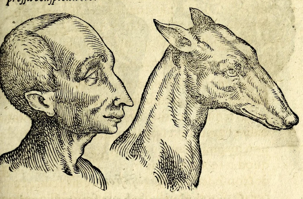 An illustration from De hvmana physiognomonia Ioannis Baptistae Portae Neapolitani libri IIII : qvi ab extimis, quae in hominum corporibus conspiciuntur signis, ita eorum naturas, mores & consilia (egregiis ad viuum expressis iconibvs) demonstrant, vt intimos animi recessus penetrare videantur ... : nunc ab innumeris mendis, quibus passim neapolitana scatebat editio, emendati, primumq[ue] in Germania in lucem editi : cum duplici rerum & verborum indice longe locupletissimo, 1593, leaf 141