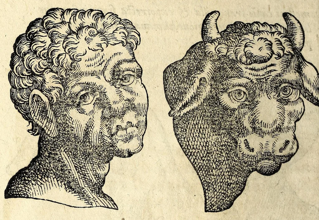 An illustration from De hvmana physiognomonia Ioannis Baptistae Portae Neapolitani libri IIII : qvi ab extimis, quae in hominum corporibus conspiciuntur signis, ita eorum naturas, mores & consilia (egregiis ad viuum expressis iconibvs) demonstrant, vt intimos animi recessus penetrare videantur ... : nunc ab innumeris mendis, quibus passim neapolitana scatebat editio, emendati, primumq[ue] in Germania in lucem editi : cum duplici rerum & verborum indice longe locupletissimo, 1593, leaf 142