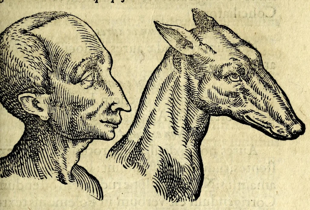 An illustration from De hvmana physiognomonia Ioannis Baptistae Portae Neapolitani libri IIII : qvi ab extimis, quae in hominum corporibus conspiciuntur signis, ita eorum naturas, mores & consilia (egregiis ad viuum expressis iconibvs) demonstrant, vt intimos animi recessus penetrare videantur ... : nunc ab innumeris mendis, quibus passim neapolitana scatebat editio, emendati, primumq[ue] in Germania in lucem editi : cum duplici rerum & verborum indice longe locupletissimo, 1593, leaf 159