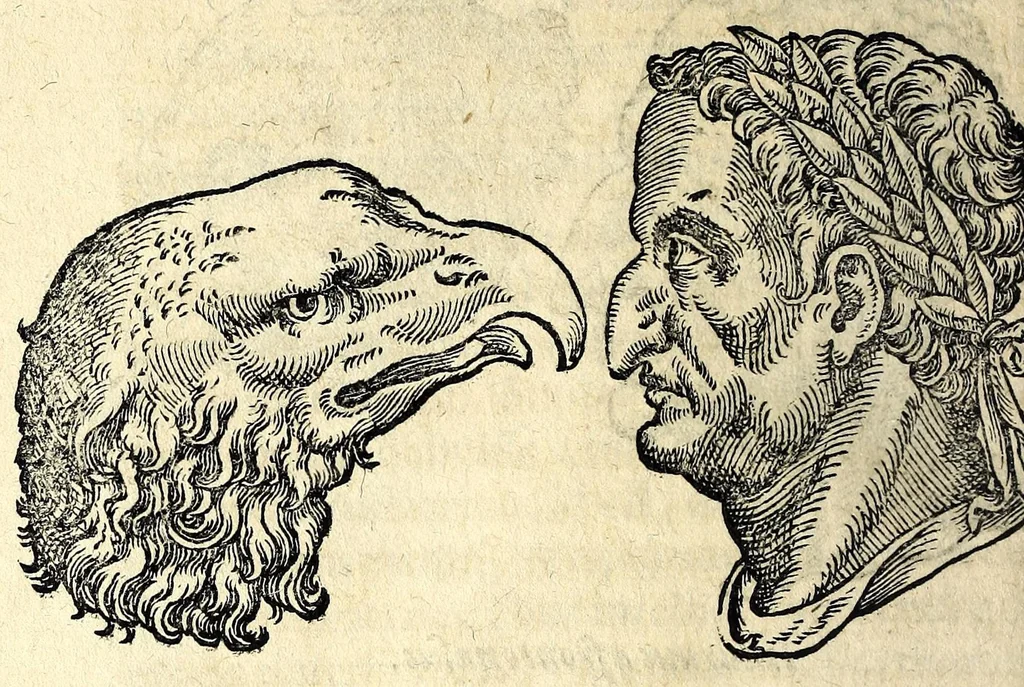 An illustration from De hvmana physiognomonia Ioannis Baptistae Portae Neapolitani libri IIII : qvi ab extimis, quae in hominum corporibus conspiciuntur signis, ita eorum naturas, mores & consilia (egregiis ad viuum expressis iconibvs) demonstrant, vt intimos animi recessus penetrare videantur ... : nunc ab innumeris mendis, quibus passim neapolitana scatebat editio, emendati, primumq[ue] in Germania in lucem editi : cum duplici rerum & verborum indice longe locupletissimo, 1593, leaf 168