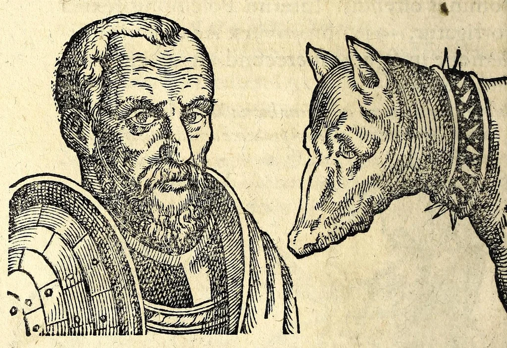 An illustration from De hvmana physiognomonia Ioannis Baptistae Portae Neapolitani libri IIII : qvi ab extimis, quae in hominum corporibus conspiciuntur signis, ita eorum naturas, mores & consilia (egregiis ad viuum expressis iconibvs) demonstrant, vt intimos animi recessus penetrare videantur ... : nunc ab innumeris mendis, quibus passim neapolitana scatebat editio, emendati, primumq[ue] in Germania in lucem editi : cum duplici rerum & verborum indice longe locupletissimo, 1593, leaf 174