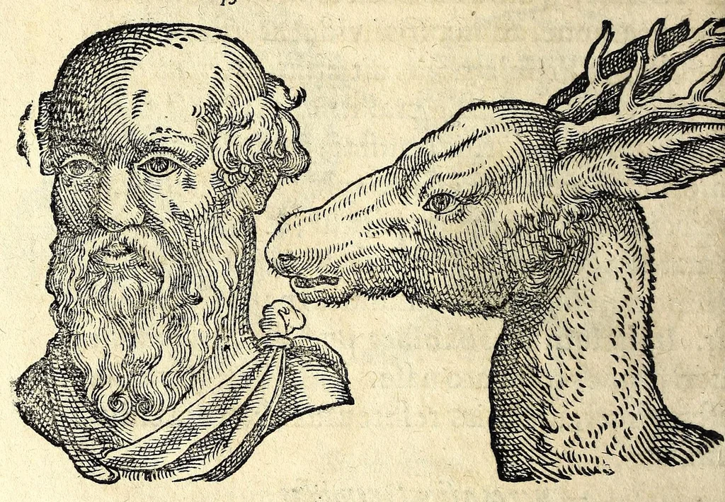 An illustration from De hvmana physiognomonia Ioannis Baptistae Portae Neapolitani libri IIII : qvi ab extimis, quae in hominum corporibus conspiciuntur signis, ita eorum naturas, mores & consilia (egregiis ad viuum expressis iconibvs) demonstrant, vt intimos animi recessus penetrare videantur ... : nunc ab innumeris mendis, quibus passim neapolitana scatebat editio, emendati, primumq[ue] in Germania in lucem editi : cum duplici rerum & verborum indice longe locupletissimo, 1593, leaf 180
