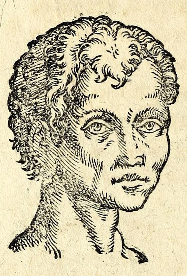 An illustration from De hvmana physiognomonia Ioannis Baptistae Portae Neapolitani libri IIII : qvi ab extimis, quae in hominum corporibus conspiciuntur signis, ita eorum naturas, mores & consilia (egregiis ad viuum expressis iconibvs) demonstrant, vt intimos animi recessus penetrare videantur ... : nunc ab innumeris mendis, quibus passim neapolitana scatebat editio, emendati, primumq[ue] in Germania in lucem editi : cum duplici rerum & verborum indice longe locupletissimo, 1593, leaf 192