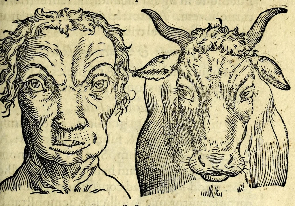 An illustration from De hvmana physiognomonia Ioannis Baptistae Portae Neapolitani libri IIII : qvi ab extimis, quae in hominum corporibus conspiciuntur signis, ita eorum naturas, mores & consilia (egregiis ad viuum expressis iconibvs) demonstrant, vt intimos animi recessus penetrare videantur ... : nunc ab innumeris mendis, quibus passim neapolitana scatebat editio, emendati, primumq[ue] in Germania in lucem editi : cum duplici rerum & verborum indice longe locupletissimo, 1593, leaf 195