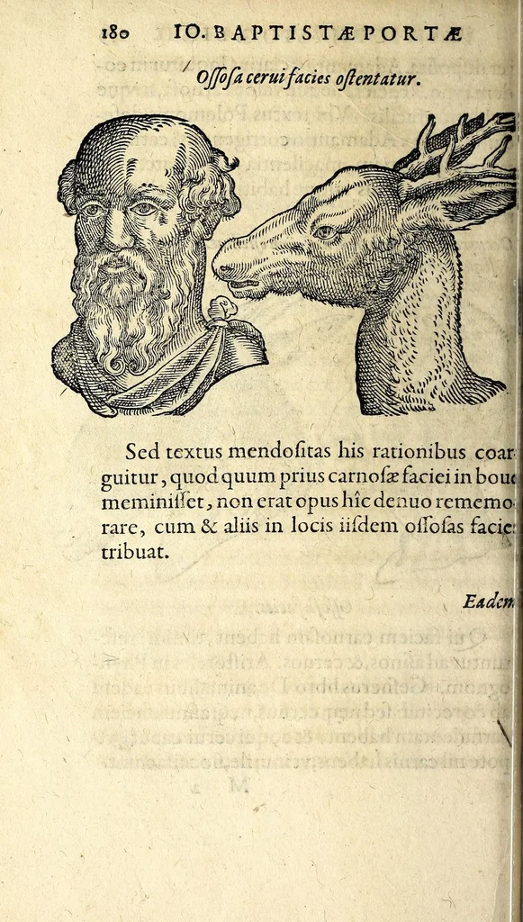 An illustration from De hvmana physiognomonia Ioannis Baptistae Portae Neapolitani libri IIII : qvi ab extimis, quae in hominum corporibus conspiciuntur signis, ita eorum naturas, mores & consilia (egregiis ad viuum expressis iconibvs) demonstrant, vt intimos animi recessus penetrare videantur ... : nunc ab innumeris mendis, quibus passim neapolitana scatebat editio, emendati, primumq[ue] in Germania in lucem editi : cum duplici rerum & verborum indice longe locupletissimo, 1593, leaf 198