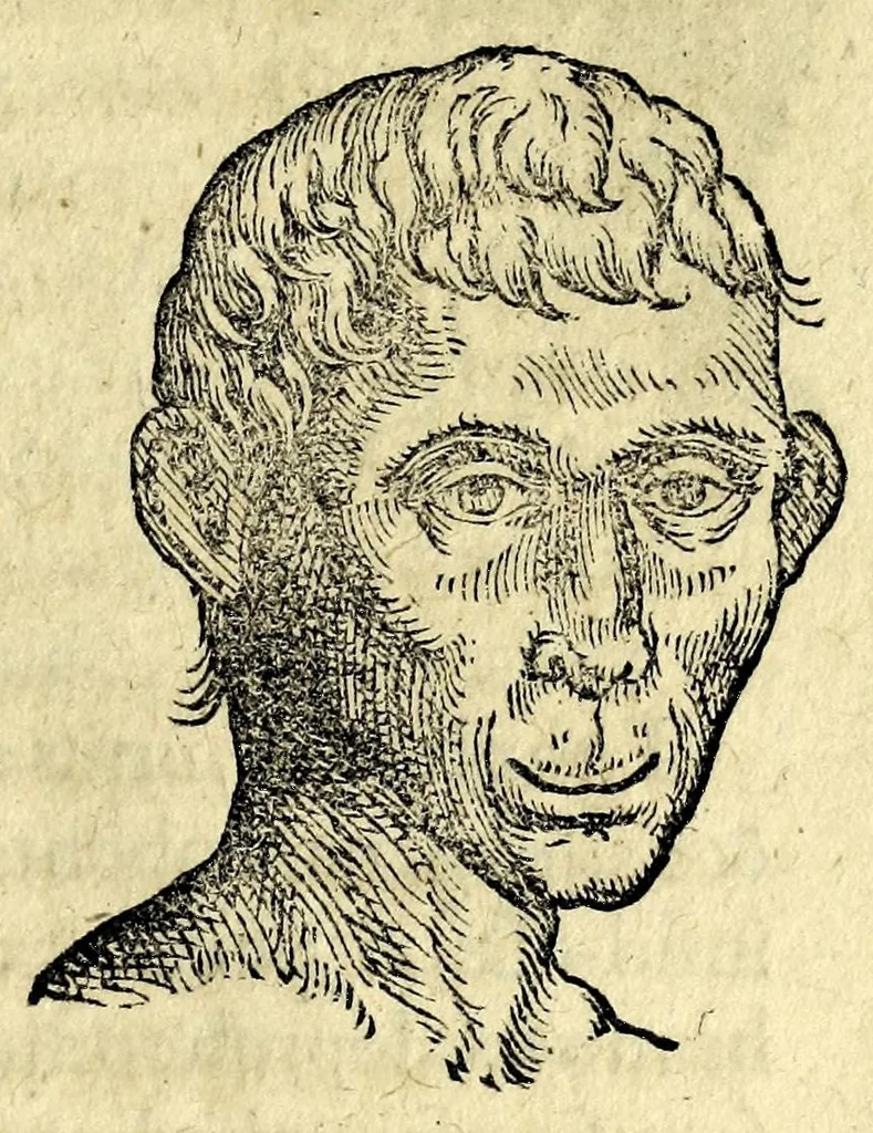 An illustration from De hvmana physiognomonia Ioannis Baptistae Portae Neapolitani libri IIII : qvi ab extimis, quae in hominum corporibus conspiciuntur signis, ita eorum naturas, mores & consilia (egregiis ad viuum expressis iconibvs) demonstrant, vt intimos animi recessus penetrare videantur ... : nunc ab innumeris mendis, quibus passim neapolitana scatebat editio, emendati, primumq[ue] in Germania in lucem editi : cum duplici rerum & verborum indice longe locupletissimo, 1593, leaf 203
