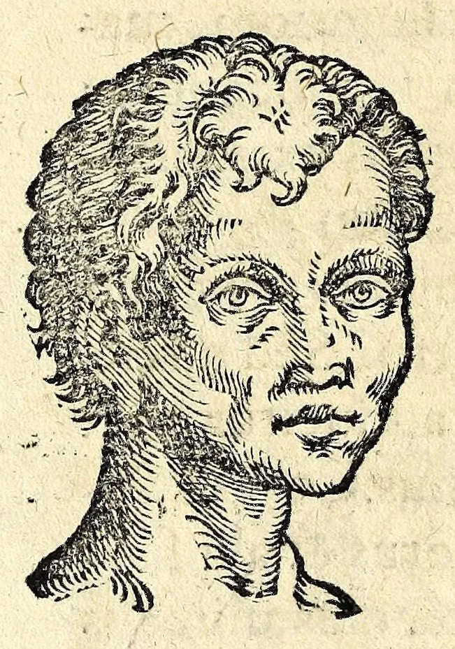 An illustration from De hvmana physiognomonia Ioannis Baptistae Portae Neapolitani libri IIII : qvi ab extimis, quae in hominum corporibus conspiciuntur signis, ita eorum naturas, mores & consilia (egregiis ad viuum expressis iconibvs) demonstrant, vt intimos animi recessus penetrare videantur ... : nunc ab innumeris mendis, quibus passim neapolitana scatebat editio, emendati, primumq[ue] in Germania in lucem editi : cum duplici rerum & verborum indice longe locupletissimo, 1593, leaf 230