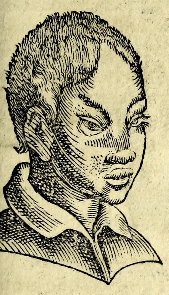 An illustration from De hvmana physiognomonia Ioannis Baptistae Portae Neapolitani libri IIII : qvi ab extimis, quae in hominum corporibus conspiciuntur signis, ita eorum naturas, mores & consilia (egregiis ad viuum expressis iconibvs) demonstrant, vt intimos animi recessus penetrare videantur ... : nunc ab innumeris mendis, quibus passim neapolitana scatebat editio, emendati, primumq[ue] in Germania in lucem editi : cum duplici rerum & verborum indice longe locupletissimo, 1593, leaf 231