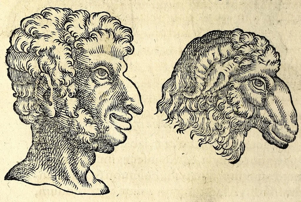 An illustration from De hvmana physiognomonia Ioannis Baptistae Portae Neapolitani libri IIII : qvi ab extimis, quae in hominum corporibus conspiciuntur signis, ita eorum naturas, mores & consilia (egregiis ad viuum expressis iconibvs) demonstrant, vt intimos animi recessus penetrare videantur ... : nunc ab innumeris mendis, quibus passim neapolitana scatebat editio, emendati, primumq[ue] in Germania in lucem editi : cum duplici rerum & verborum indice longe locupletissimo, 1593, leaf 238
