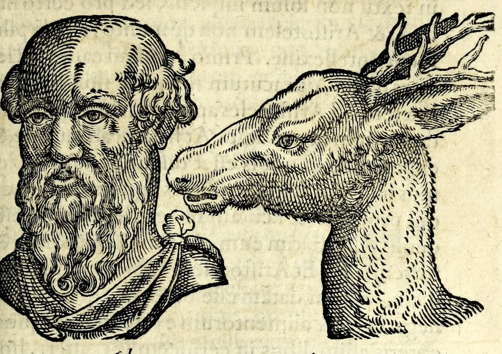 An illustration from De hvmana physiognomonia Ioannis Baptistae Portae Neapolitani libri IIII : qvi ab extimis, quae in hominum corporibus conspiciuntur signis, ita eorum naturas, mores & consilia (egregiis ad viuum expressis iconibvs) demonstrant, vt intimos animi recessus penetrare videantur ... : nunc ab innumeris mendis, quibus passim neapolitana scatebat editio, emendati, primumq[ue] in Germania in lucem editi : cum duplici rerum & verborum indice longe locupletissimo, 1593, leaf 277
