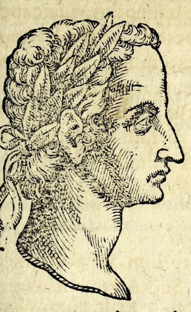 An illustration from De hvmana physiognomonia Ioannis Baptistae Portae Neapolitani libri IIII : qvi ab extimis, quae in hominum corporibus conspiciuntur signis, ita eorum naturas, mores & consilia (egregiis ad viuum expressis iconibvs) demonstrant, vt intimos animi recessus penetrare videantur ... : nunc ab innumeris mendis, quibus passim neapolitana scatebat editio, emendati, primumq[ue] in Germania in lucem editi : cum duplici rerum & verborum indice longe locupletissimo, 1593, leaf 297