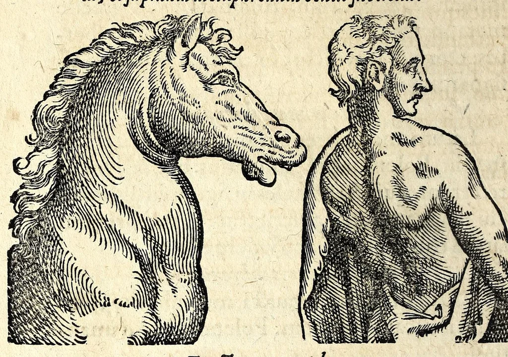 An illustration from De hvmana physiognomonia Ioannis Baptistae Portae Neapolitani libri IIII : qvi ab extimis, quae in hominum corporibus conspiciuntur signis, ita eorum naturas, mores & consilia (egregiis ad viuum expressis iconibvs) demonstrant, vt intimos animi recessus penetrare videantur ... : nunc ab innumeris mendis, quibus passim neapolitana scatebat editio, emendati, primumq[ue] in Germania in lucem editi : cum duplici rerum & verborum indice longe locupletissimo, 1593, leaf 304
