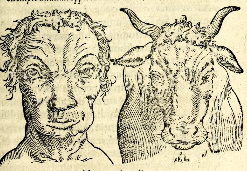 An illustration from De hvmana physiognomonia Ioannis Baptistae Portae Neapolitani libri IIII : qvi ab extimis, quae in hominum corporibus conspiciuntur signis, ita eorum naturas, mores & consilia (egregiis ad viuum expressis iconibvs) demonstrant, vt intimos animi recessus penetrare videantur ... : nunc ab innumeris mendis, quibus passim neapolitana scatebat editio, emendati, primumq[ue] in Germania in lucem editi : cum duplici rerum & verborum indice longe locupletissimo, 1593, leaf 391