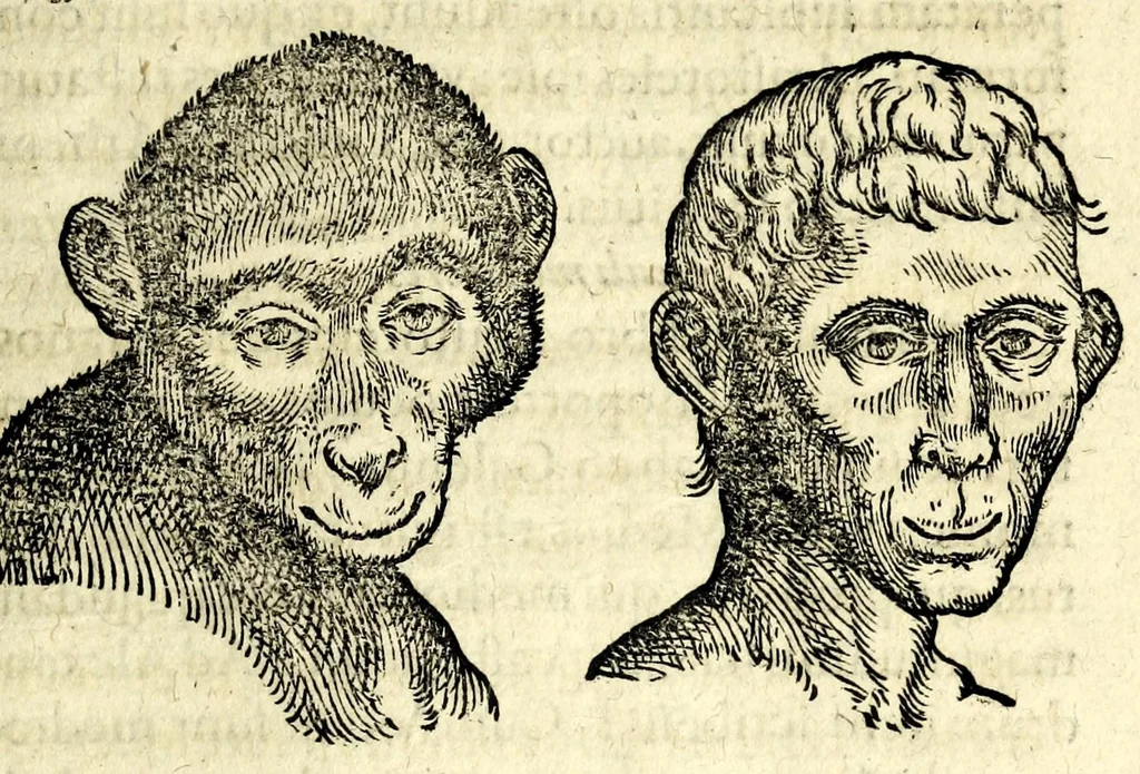 An illustration from De hvmana physiognomonia Ioannis Baptistae Portae Neapolitani libri IIII : qvi ab extimis, quae in hominum corporibus conspiciuntur signis, ita eorum naturas, mores & consilia (egregiis ad viuum expressis iconibvs) demonstrant, vt intimos animi recessus penetrare videantur ... : nunc ab innumeris mendis, quibus passim neapolitana scatebat editio, emendati, primumq[ue] in Germania in lucem editi : cum duplici rerum & verborum indice longe locupletissimo, 1593, leaf 395