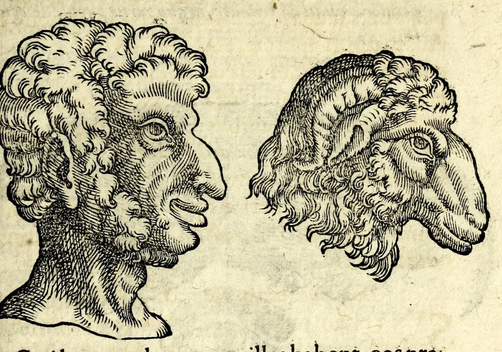 An illustration from De hvmana physiognomonia Ioannis Baptistae Portae Neapolitani libri IIII : qvi ab extimis, quae in hominum corporibus conspiciuntur signis, ita eorum naturas, mores & consilia (egregiis ad viuum expressis iconibvs) demonstrant, vt intimos animi recessus penetrare videantur ... : nunc ab innumeris mendis, quibus passim neapolitana scatebat editio, emendati, primumq[ue] in Germania in lucem editi : cum duplici rerum & verborum indice longe locupletissimo, 1593, leaf 401