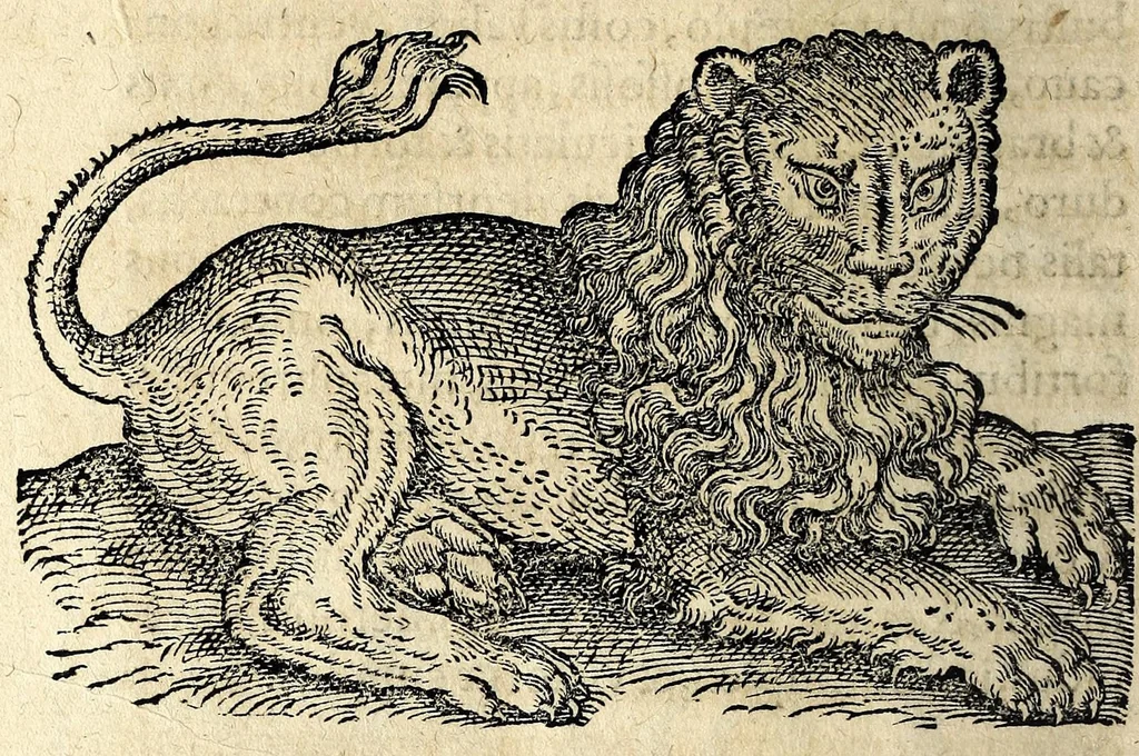 An illustration from De hvmana physiognomonia Ioannis Baptistae Portae Neapolitani libri IIII : qvi ab extimis, quae in hominum corporibus conspiciuntur signis, ita eorum naturas, mores & consilia (egregiis ad viuum expressis iconibvs) demonstrant, vt intimos animi recessus penetrare videantur ... : nunc ab innumeris mendis, quibus passim neapolitana scatebat editio, emendati, primumq[ue] in Germania in lucem editi : cum duplici rerum & verborum indice longe locupletissimo, 1593, leaf 60