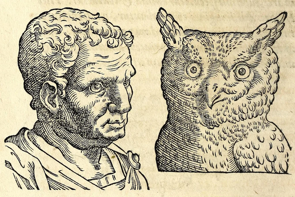 An illustration from De hvmana physiognomonia Ioannis Baptistae Portae Neapolitani libri IIII : qvi ab extimis, quae in hominum corporibus conspiciuntur signis, ita eorum naturas, mores & consilia (egregiis ad viuum expressis iconibvs) demonstrant, vt intimos animi recessus penetrare videantur ... : nunc ab innumeris mendis, quibus passim neapolitana scatebat editio, emendati, primumq[ue] in Germania in lucem editi : cum duplici rerum & verborum indice longe locupletissimo, 1593, leaf 80