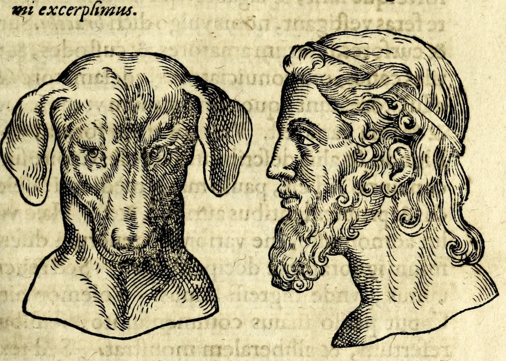 An illustration from De hvmana physiognomonia Ioannis Baptistae Portae Neapolitani libri IIII : qvi ab extimis, quae in hominum corporibus conspiciuntur signis, ita eorum naturas, mores & consilia (egregiis ad viuum expressis iconibvs) demonstrant, vt intimos animi recessus penetrare videantur ... : nunc ab innumeris mendis, quibus passim neapolitana scatebat editio, emendati, primumq[ue] in Germania in lucem editi : cum duplici rerum & verborum indice longe locupletissimo, 1593, leaf 83