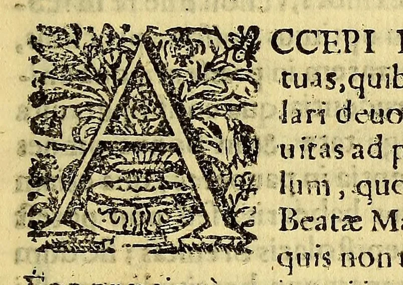 An illustration from De immaculata Deiparae conceptione sive de illius immunitate a peccato originali. Authore doctore D. Didaco Andraea Rocha Hispalensi quondam Limanae Academiae vespertinae legum cathedrae moderatore, deinde in Regali Cancellaria Quitensi fisci patrono, & senatore, demum electo fiscali Regalis Cancellariae Argentinae; nunc vero Regalis Cancellariae Limensis Criminum questore, & iudice., 1670, leaf 13