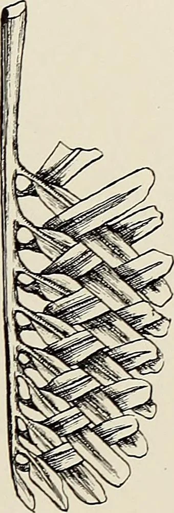 An illustration from De inlandsche kunstnijverheid in Nederlandsch Indië, 1912, leaf 114