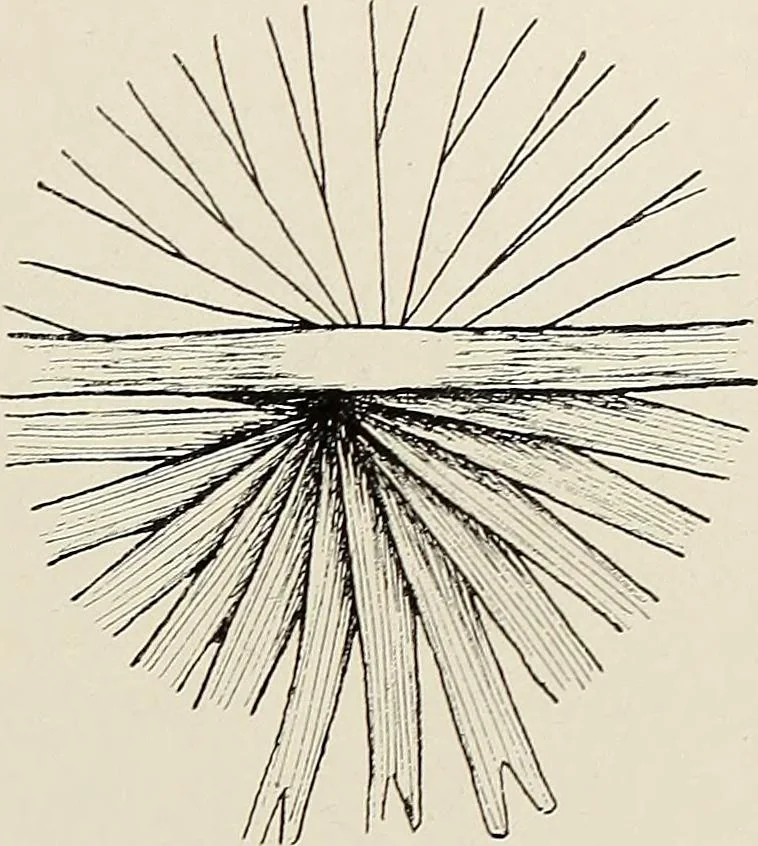 An illustration from De inlandsche kunstnijverheid in Nederlandsch Indië, 1912, leaf 150