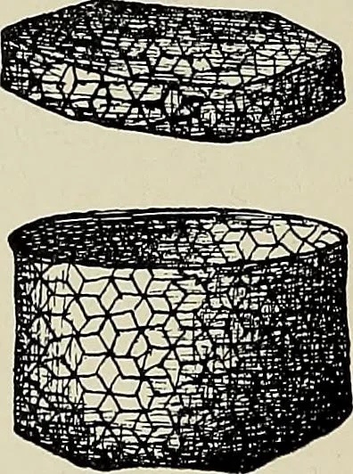 An illustration from De inlandsche kunstnijverheid in Nederlandsch Indië, 1912, leaf 157