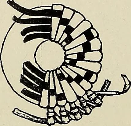An illustration from De inlandsche kunstnijverheid in Nederlandsch Indië, 1912, leaf 163