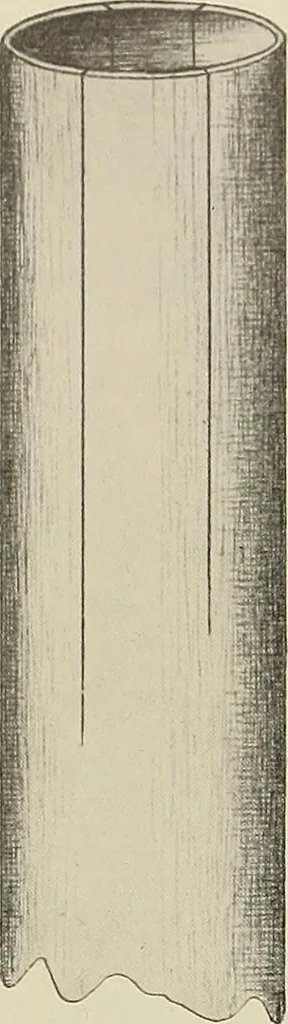 An illustration from De inlandsche kunstnijverheid in Nederlandsch Indië, 1912, leaf 19