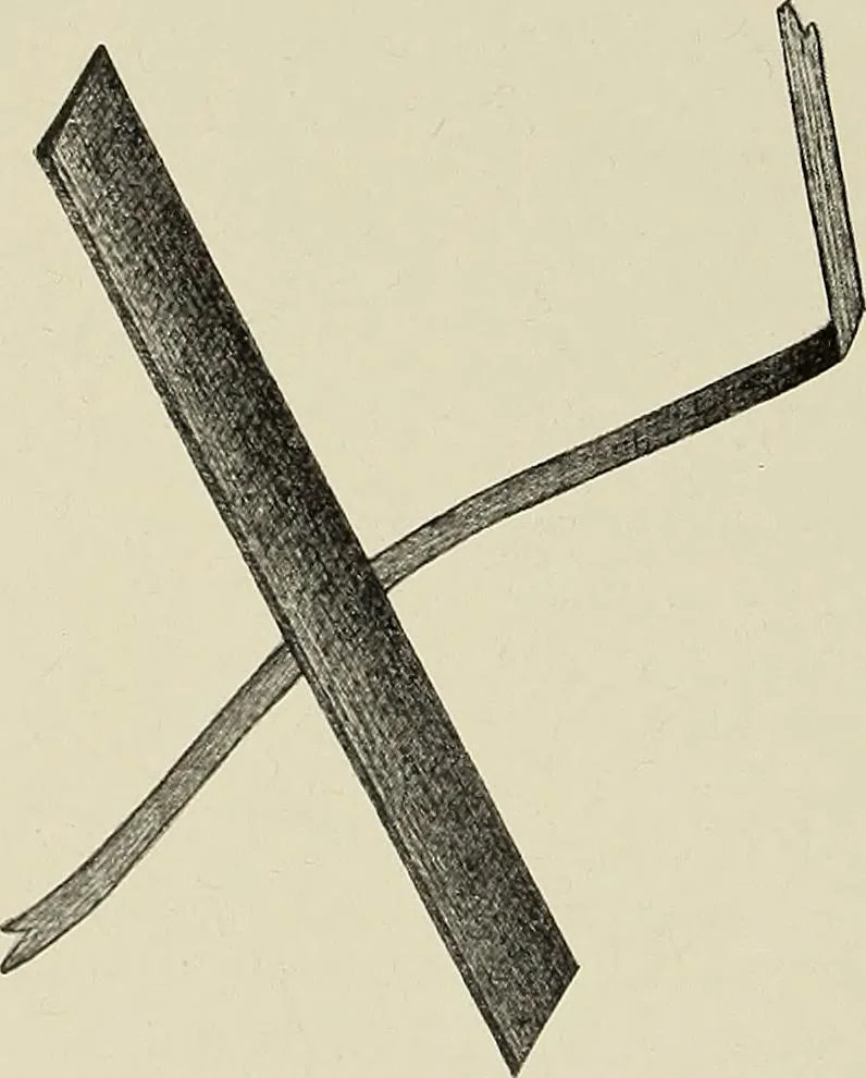 An illustration from De inlandsche kunstnijverheid in Nederlandsch Indië, 1912, leaf 19