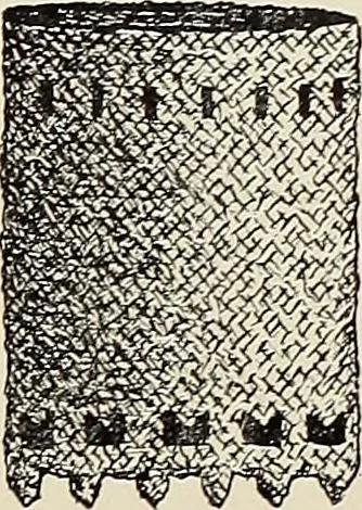 An illustration from De inlandsche kunstnijverheid in Nederlandsch Indië, 1912, leaf 198