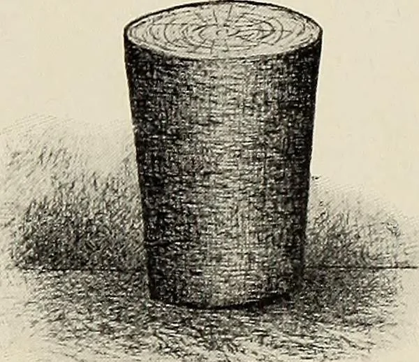 An illustration from De inlandsche kunstnijverheid in Nederlandsch Indië, 1912, leaf 24