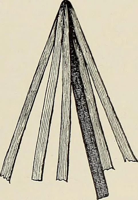 An illustration from De inlandsche kunstnijverheid in Nederlandsch Indië, 1912, leaf 90
