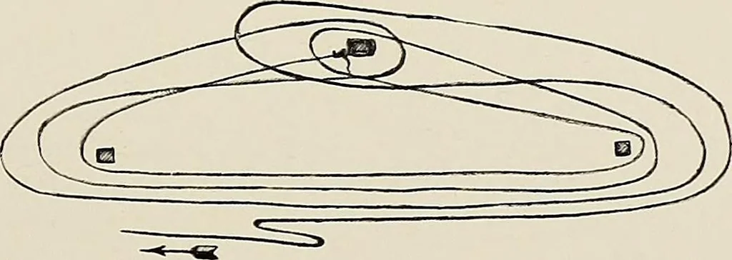 An illustration from De inlandsche kunstnijverheid in Nederlandsch Indië, 1912, leaf 123
