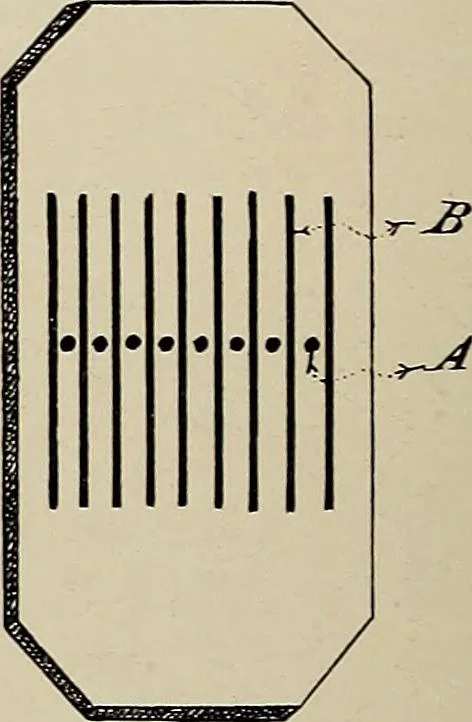 An illustration from De inlandsche kunstnijverheid in Nederlandsch Indië, 1912, leaf 232