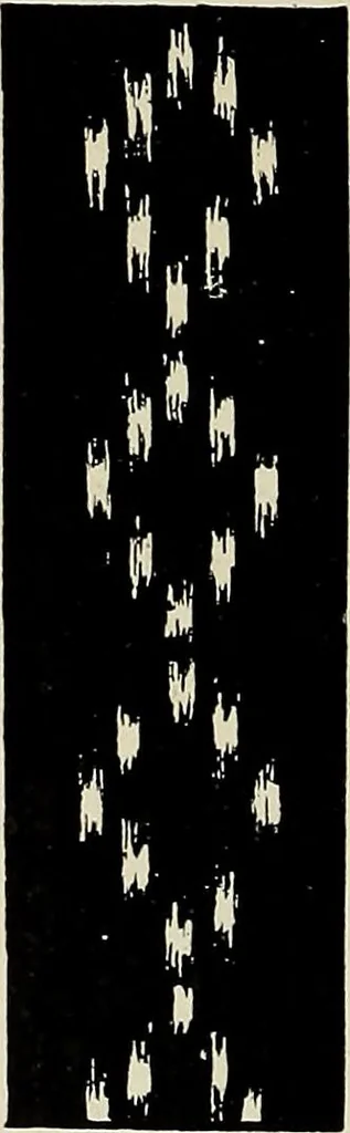 An illustration from De inlandsche kunstnijverheid in Nederlandsch Indië, 1912, leaf 316