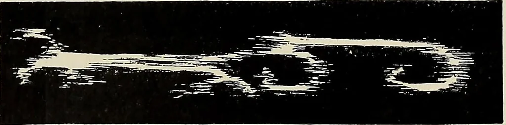 An illustration from De inlandsche kunstnijverheid in Nederlandsch Indië, 1912, leaf 345