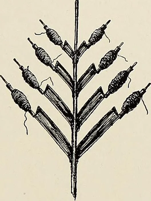 An illustration from De inlandsche kunstnijverheid in Nederlandsch Indië, 1912, leaf 45