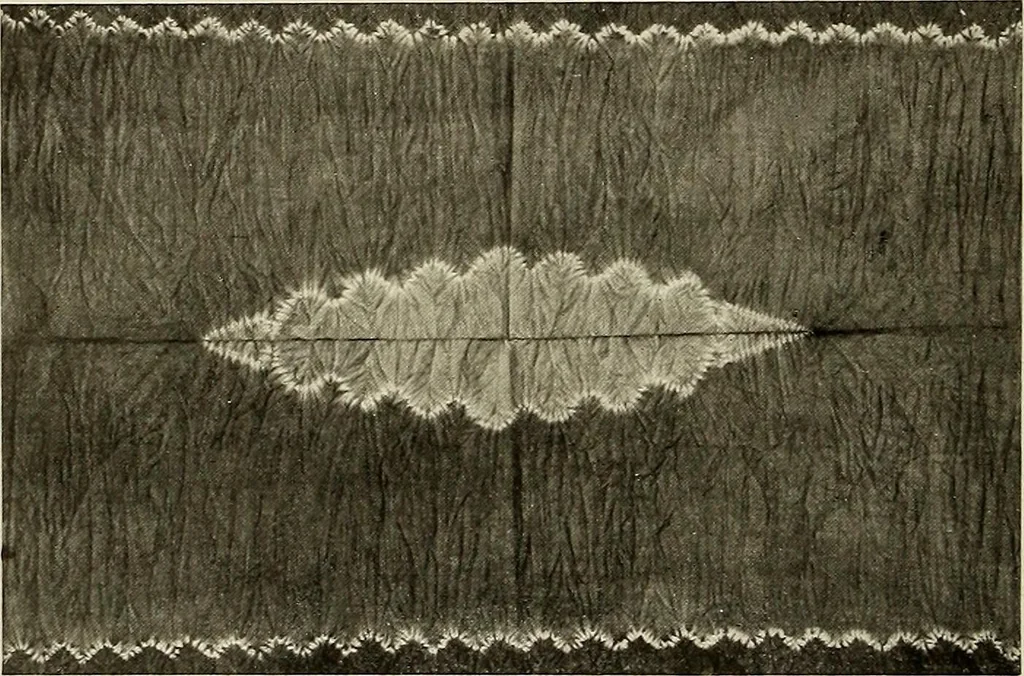 An illustration from De inlandsche kunstnijverheid in Nederlandsch Indië, 1912, leaf 101