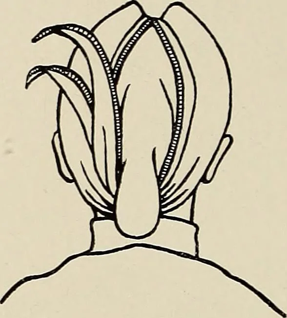 An illustration from De inlandsche kunstnijverheid in Nederlandsch Indië, 1912, leaf 125