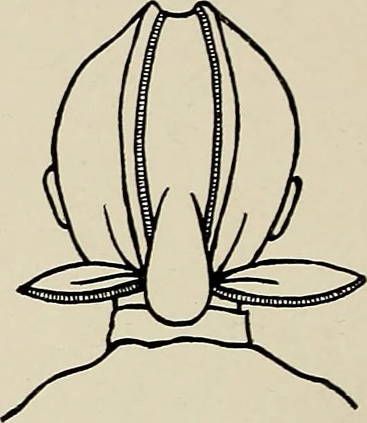 An illustration from De inlandsche kunstnijverheid in Nederlandsch Indië, 1912, leaf 125