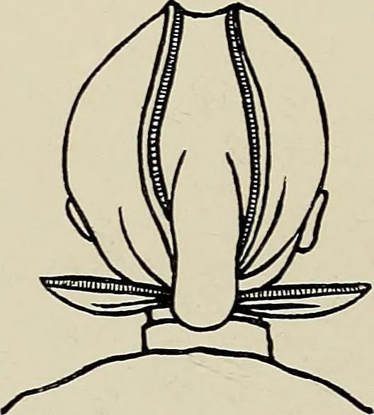 An illustration from De inlandsche kunstnijverheid in Nederlandsch Indië, 1912, leaf 125