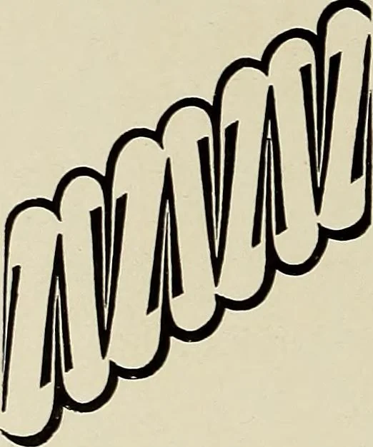 An illustration from De inlandsche kunstnijverheid in Nederlandsch Indië, 1912, leaf 185