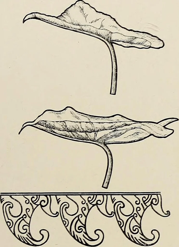 An illustration from De inlandsche kunstnijverheid in Nederlandsch Indië, 1912, leaf 188