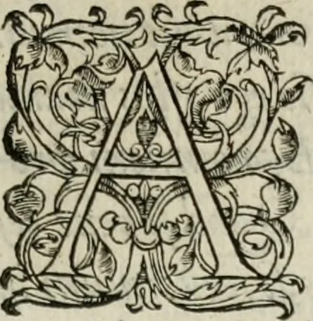 An illustration from De inuentione dialectica lib. III, 1559, leaf 10
