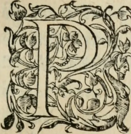 An illustration from De inuentione dialectica lib. III, 1559, leaf 144