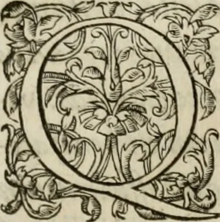 An illustration from De inuentione dialectica lib. III, 1559, leaf 316