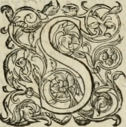 An illustration from De inuentione dialectica lib. III, 1559, leaf 6