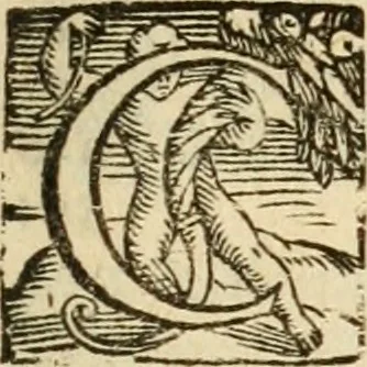 An illustration from De ivribvs et privilegiis fisci, libri septem, 1589, leaf 6