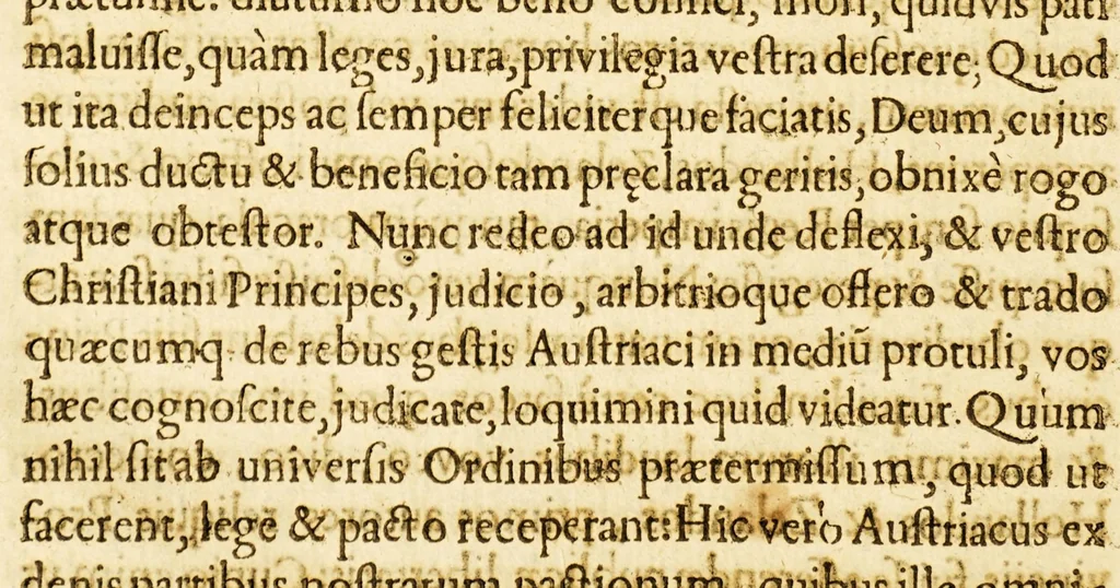 An illustration from De jure belli Belgici adversus Philippum regem Hispaniarum oratio nobilis Belgæ, ad potentissimos, ac serenissimos Christiani orbis principes, 1599, leaf 64
